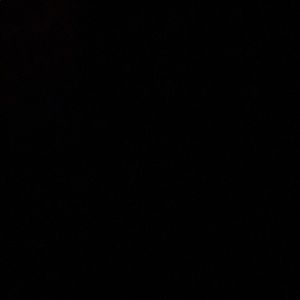 Meet your Posher, Charlee